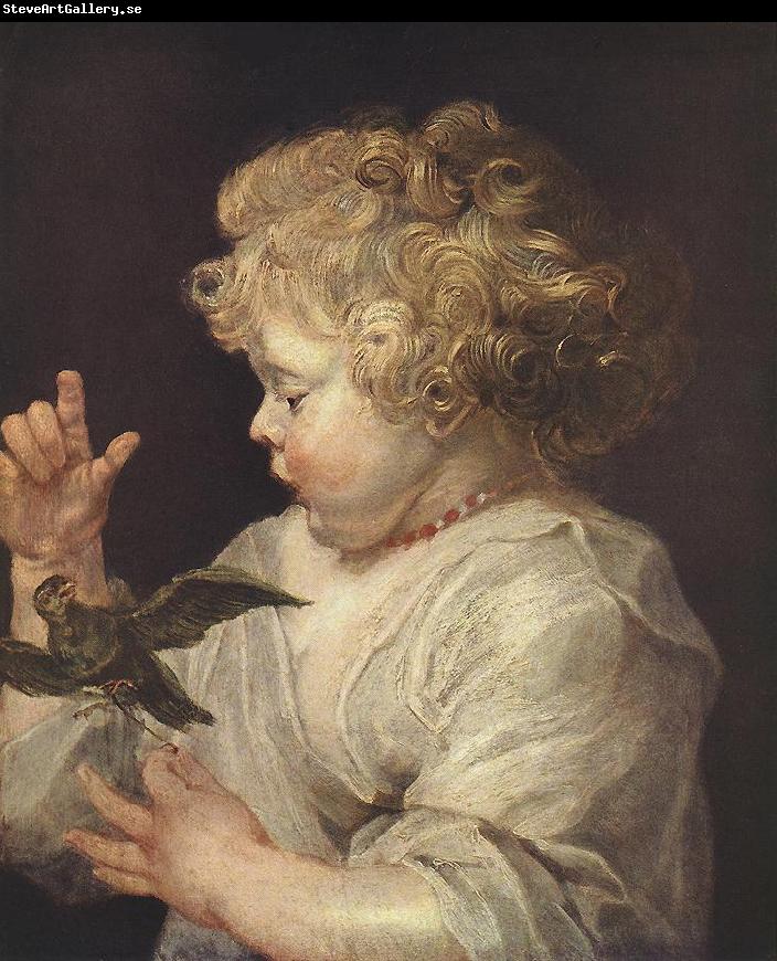 RUBENS, Pieter Pauwel Boy with Bird